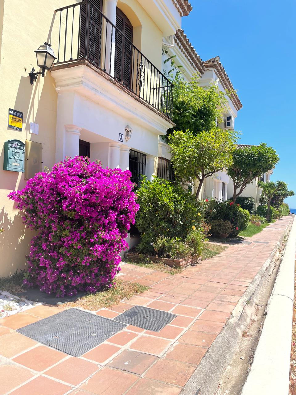 Mediterranean wellness retreat with flowers and sunny pathway - Balance Living lifestyle